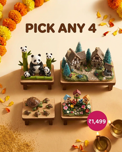 Pick any 4: 4 premium sets for ₹1,499